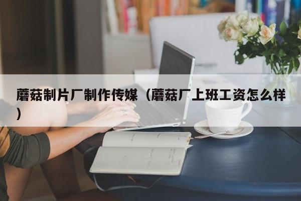 蘑菇制片厂制作传媒(蘑菇厂上班工资怎么样)