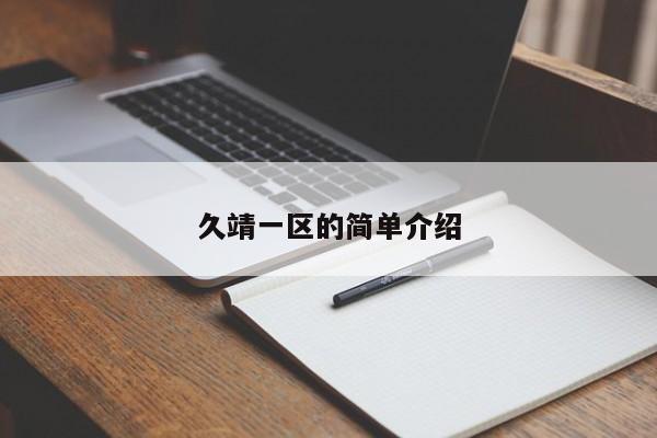 久靖一区的简单介绍